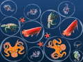 Laro Ocean Fish Merge