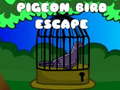 Laro Pigeon Bird Escape