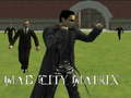 Laro Mad City Matrix