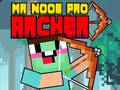 Laro Mr Noob Pro Archer