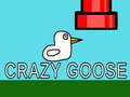 Laro Crazy Goose