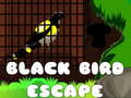 Laro Black Bird Escape