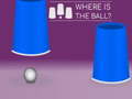 Laro Where Is The Ball?