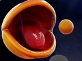 Laro Pac-Man 3d