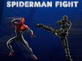 Laro Spiderman Fight