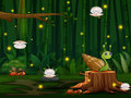 Laro Snail Run