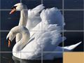 Laro Animals Slide Puzzle