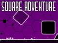 Laro Square Adventure