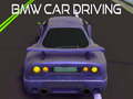 Laro BMW car Driving 