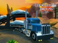 Laro 18 Wheeler Driving Sim