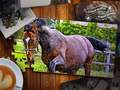 Laro Jigsaw Puzzle Horses Edition