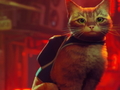 Laro Stray