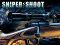 Laro Sniper Shooting