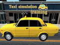 Laro Taxi simulation training
