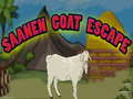 Laro Saanen Goat Escape