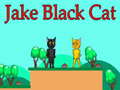Laro Jake Black Cat