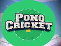Laro Pong Cricket