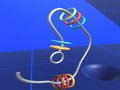 Laro Make Rings Off 