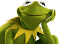 Laro Coloring Book For Kermit the Frog 
