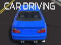 Laro Car Driving