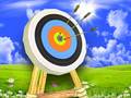 Laro Archer Master