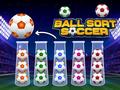 Laro Ball Sort Soccer