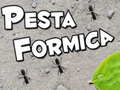 Laro Pesta Formica