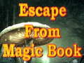 Laro Escape From Magic Book
