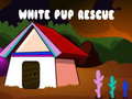 Laro White Pup Rescue 