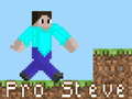 Laro Pro Steve