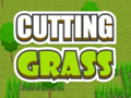 Laro Cutting Grass