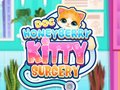 Laro Doc HoneyBerry Kitty Surgery