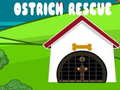 Laro Ostrich Rescue