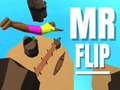 Laro Mr Flip