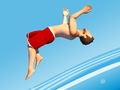 Laro Flip Divers
