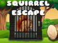 Laro Squirrel Escape