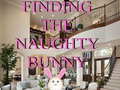 Laro Finding The Naughty Bunny