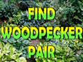 Laro Find Woodpecker Pair 