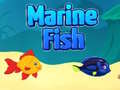 Laro Marine Fish