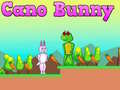Laro Cano Bunny