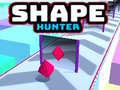 Laro Shape Hunter