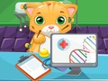 Laro Cat Doctor