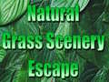 Laro Natural Grass Scenery Escape