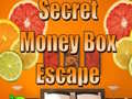 Laro Secret Money Box Escape