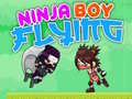Laro Ninja Boy Flying