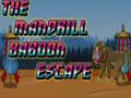 Laro The Mandrill Baboon Escape