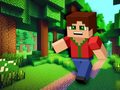 Laro Minicraft
