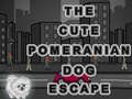 Laro Cute Pomeranian Dog Escape