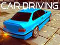 Laro Car Driving