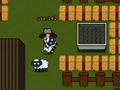 Laro Sheep13